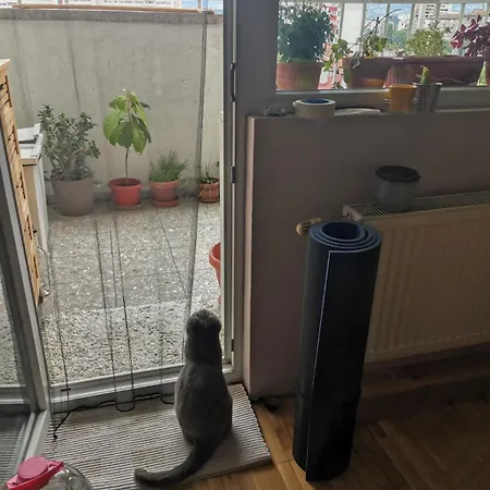 Artsy Penthouse & Mountain View * Sofie