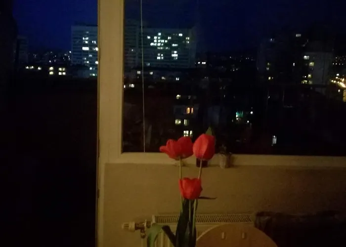 Lejlighed Artsy Penthouse & Mountain View Sofia