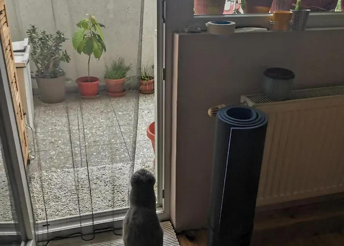 Artsy Penthouse & Mountain View * Sofia